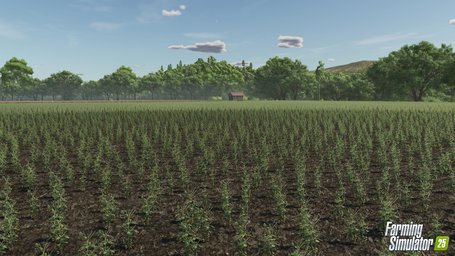 Crops Farming Simulator 25 Screenshot