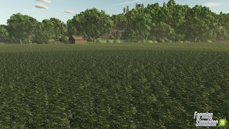 Crops Farming Simulator 25 Screenshot