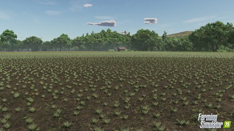 Crops Farming Simulator 25 Screenshot