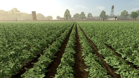 Green Beans Farming Simulator 25 Screenshot