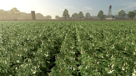 Green Beans Farming Simulator 25 Screenshot