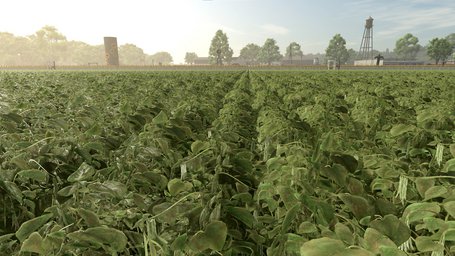 Green Beans Farming Simulator 25 Screenshot