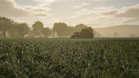 Green Beans Farming Simulator 25 Screenshot