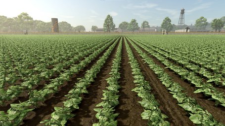 Green Beans Farming Simulator 25 Screenshot