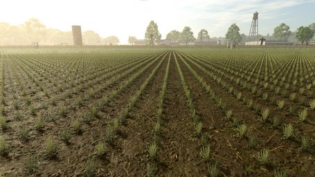 Green Beans Farming Simulator 25 Screenshot