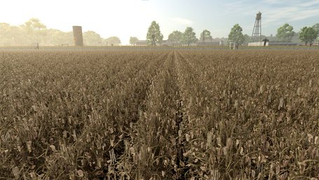 Green Beans Farming Simulator 25 Screenshot