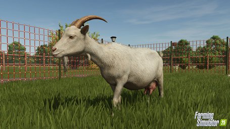 Animals Goats Farming Simulator 25 Screenshot