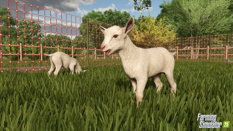 Animals Goats Farming Simulator 25 Screenshot