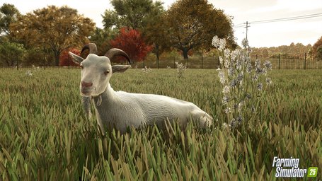 Animals Goats Farming Simulator 25 Screenshot