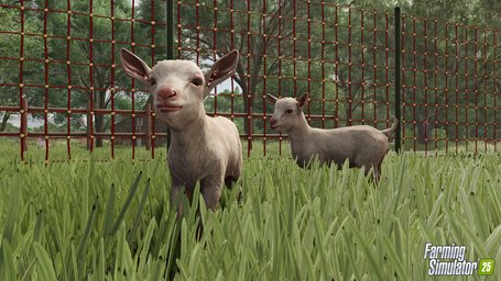 Animals Goats Farming Simulator 25 Screenshot