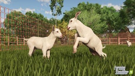 Animals Goats Farming Simulator 25 Screenshot