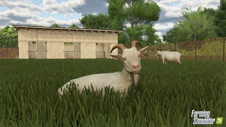 Animals Goats Farming Simulator 25 Screenshot