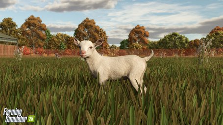 Animals Goats Farming Simulator 25 Screenshot