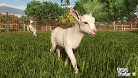 Animals Goats Farming Simulator 25 Screenshot