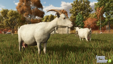 Animals Goats Farming Simulator 25 Screenshot