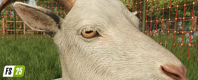 Animals Goats Farming Simulator 25 Screenshot