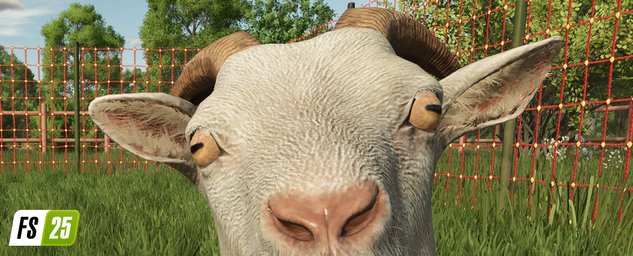 Animals Goats Farming Simulator 25 Screenshot