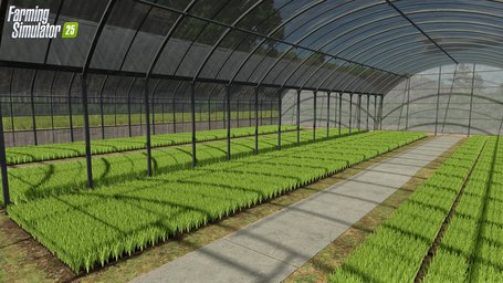 Rice Planting And Harvesting Farming Simulator 25 Screenshot