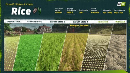 Rice Planting And Harvesting Farming Simulator 25 Screenshot