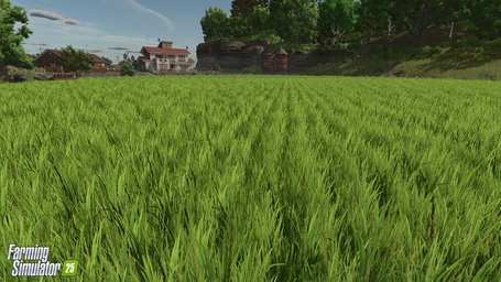 Rice Planting And Harvesting Farming Simulator 25 Screenshot