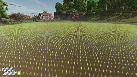 Rice Planting And Harvesting Farming Simulator 25 Screenshot