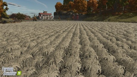 Rice Planting And Harvesting Farming Simulator 25 Screenshot