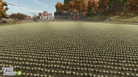 Rice Planting And Harvesting Farming Simulator 25 Screenshot