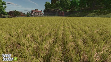 Rice Planting And Harvesting Farming Simulator 25 Screenshot