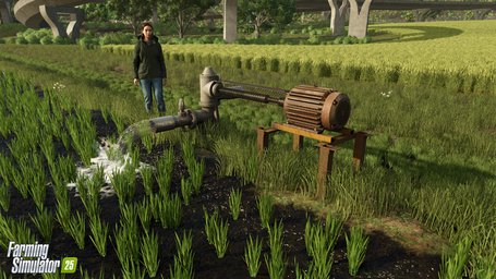 Rice Planting And Harvesting Farming Simulator 25 Screenshot