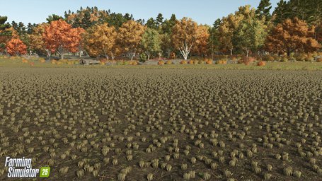 Rice Planting And Harvesting Farming Simulator 25 Screenshot