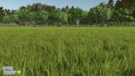 Rice Planting And Harvesting Farming Simulator 25 Screenshot