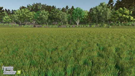 Rice Planting And Harvesting Farming Simulator 25 Screenshot