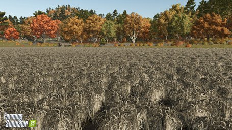 Rice Planting And Harvesting Farming Simulator 25 Screenshot