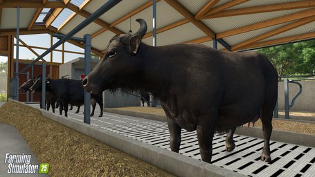 Water Buffalo Farming Simulator 25 Screenshot