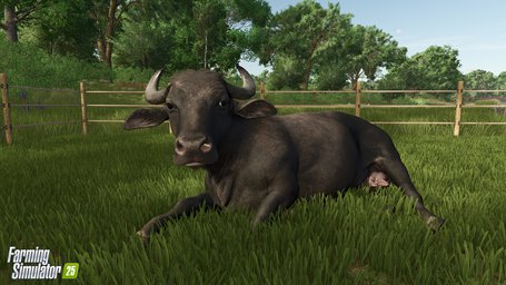 Water Buffalo Farming Simulator 25 Screenshot