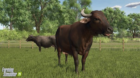 Water Buffalo Farming Simulator 25 Screenshot