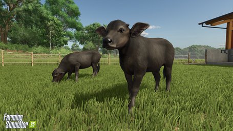 Water Buffalo Farming Simulator 25 Screenshot