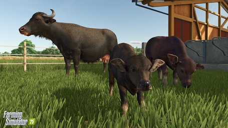 Water Buffalo Farming Simulator 25 Screenshot