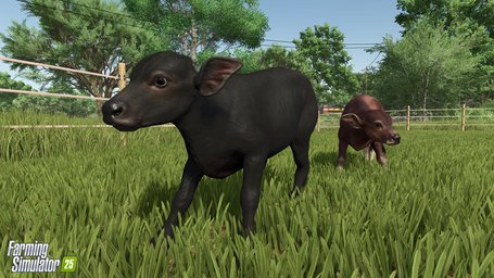 Water Buffalo Farming Simulator 25 Screenshot